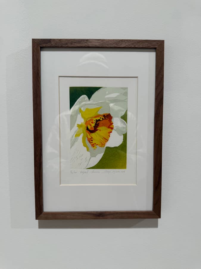 Linosnitt av Marjan Dijkstra, Daffodil, innrammet i galleriet