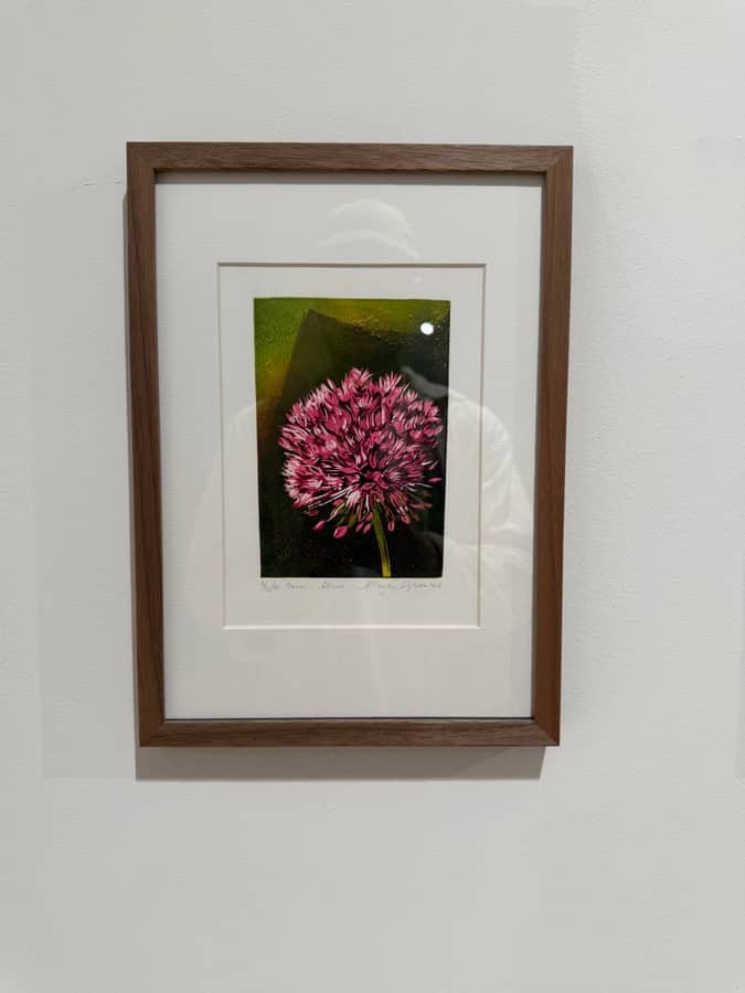 Linosnitt av Marjan Dijkstra, Onion, innrammet i galleriet