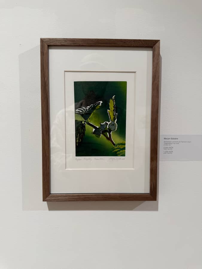 Linosnitt av Marjan Dijkstra, Raspberry, innrammet i galleriet