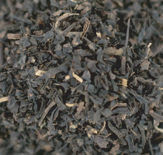 Løs svart te i nærbilde — bladene slik de kommer fra Spill the Tea
